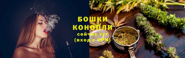 сатива Михайловск