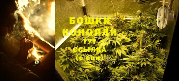 сатива Михайловск
