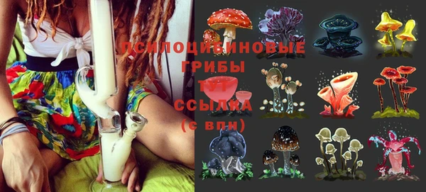 сатива Михайловск