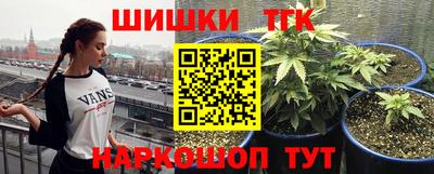 крисы Краснокаменск
