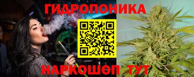 крисы Краснокаменск