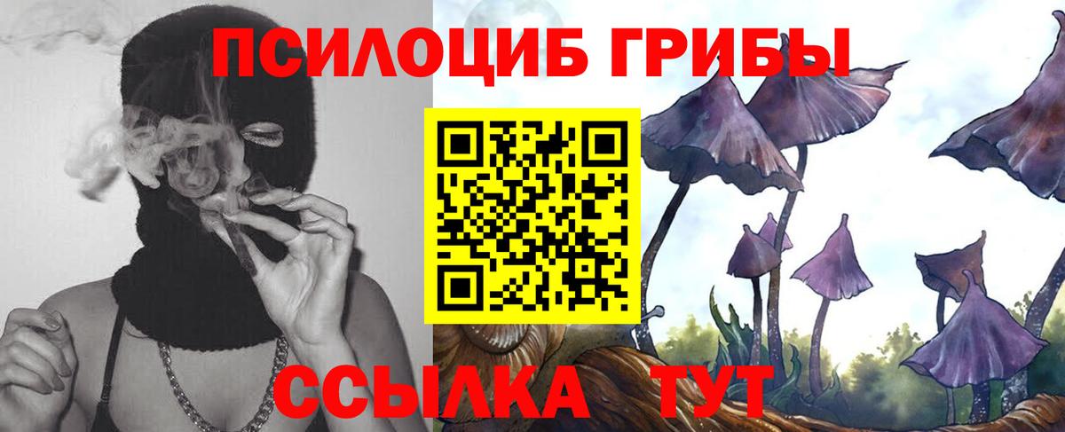 дарнет шоп  Вход с VPN  Шадринск  Галлюциногенные грибы GOLDEN TEACHER  Галлюциногенные грибы Psilocybine cubensis 