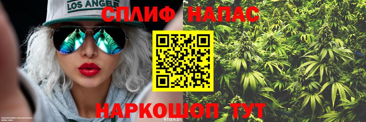 Каннабис план Шадринск